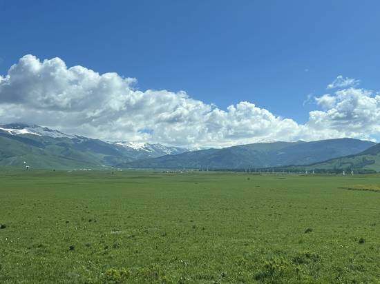 六月禾木村景色