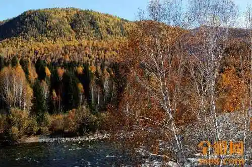 世外桃源白哈巴