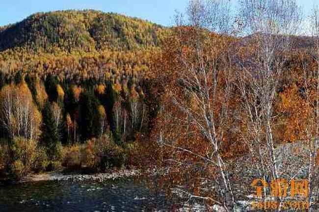 世外桃源白哈巴,图十八