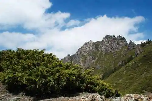 新疆南山日光城