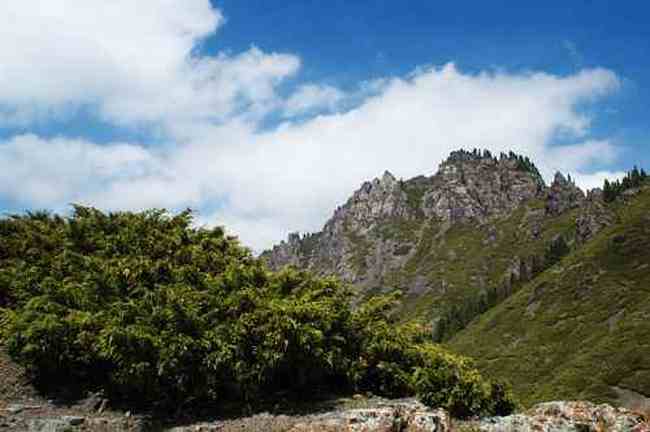 新疆南山日光城,图一