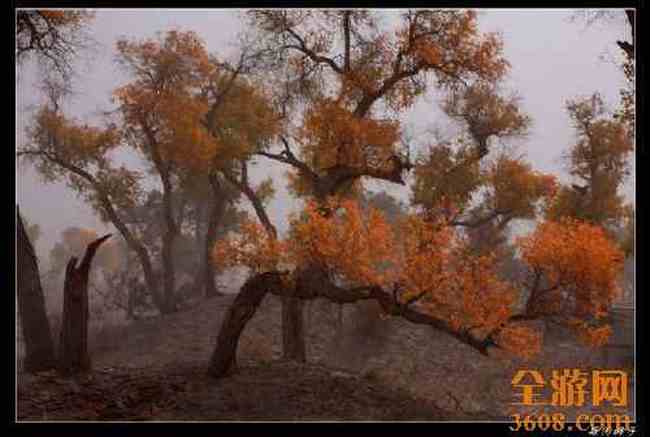 新疆风光,图十五