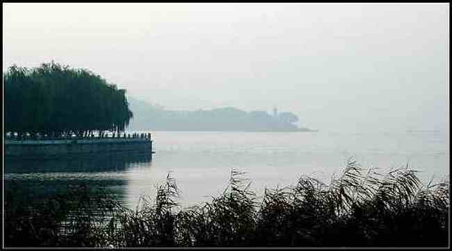 新疆 - 塔里木河,图一