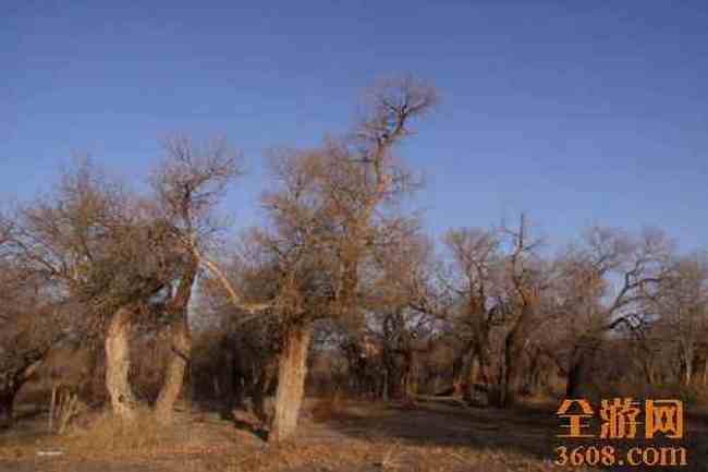 新疆自驾之旅（五）,图二十六