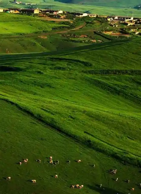 新疆布拉克风光