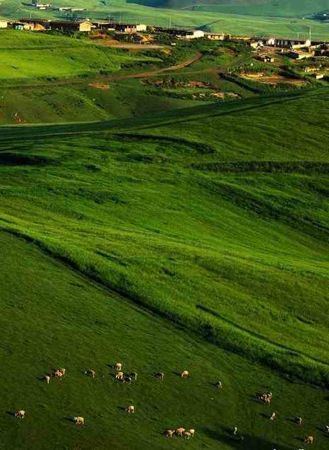 新疆布拉克风光,图六