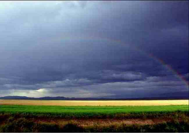 新疆昭苏高原风光,图一