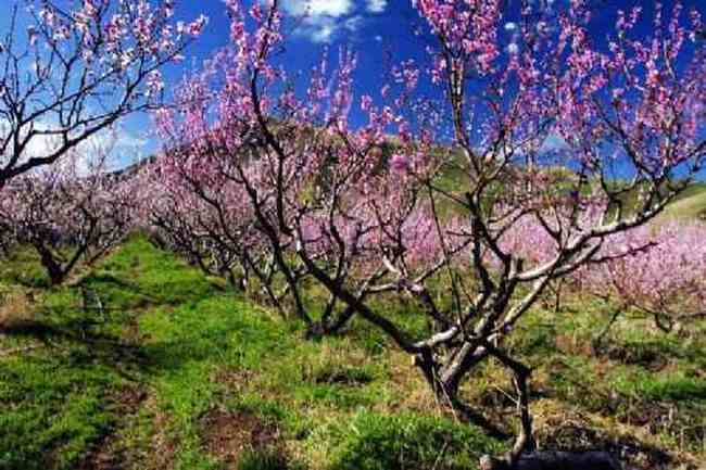 新疆新源风光,图十二