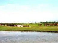 新疆天马之乡伊犁昭苏(组图)