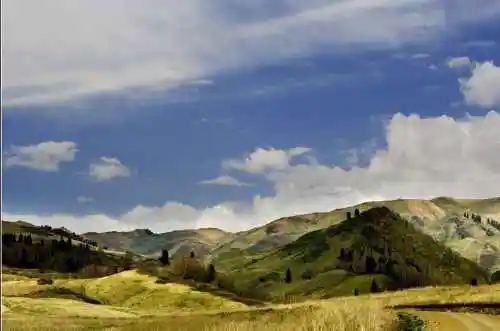 新疆夏尔希里自然保护区