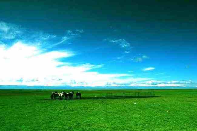 新疆巴音布鲁克草原,图八