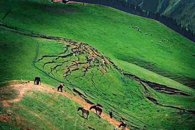 新疆巴音布鲁克草原,图四