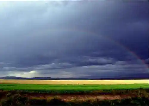 新疆昭苏高原风光