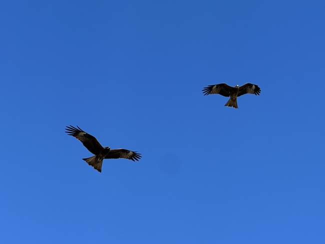 六月禾木村景色