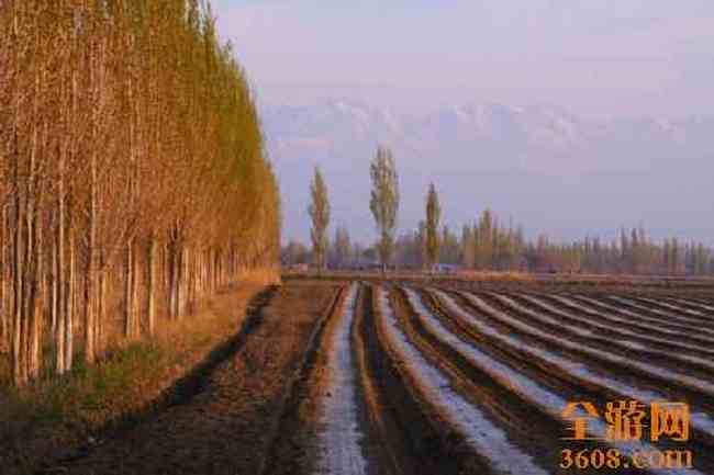 新疆自驾之旅,图十九