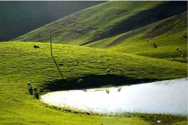 新疆江布拉克草原风光,图十六
