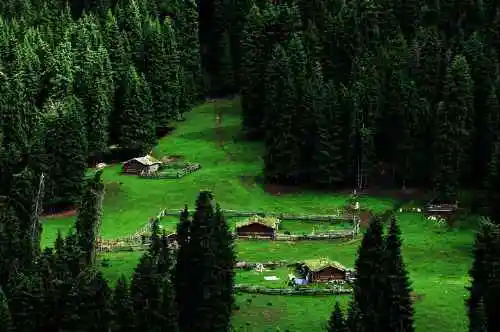 新疆索尔巴斯陶风光