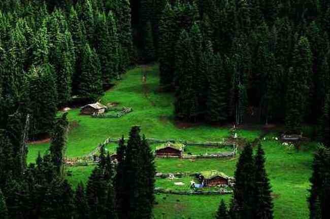 新疆索爾巴斯陶風(fēng)光,圖六