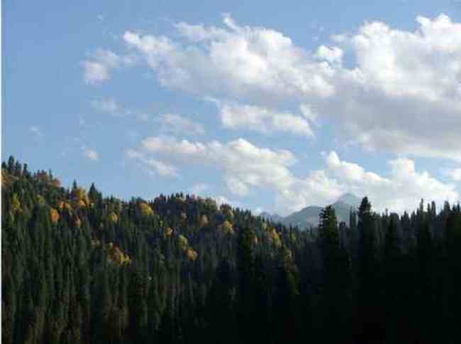 新疆大莫乎尔转场,图十二