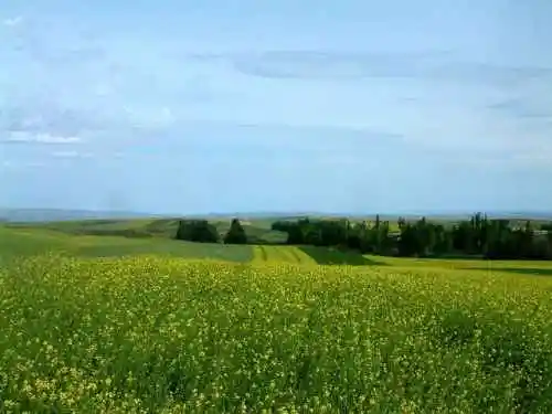 新疆塔斯提风光