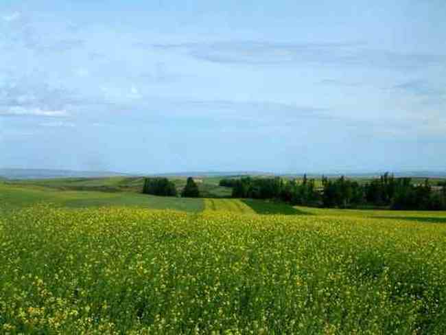 新疆塔斯提风光,图二