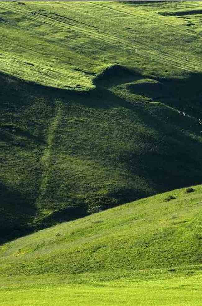 新疆江布拉克,图四