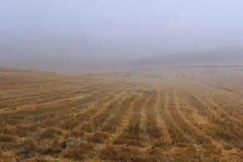 新疆半截沟风光