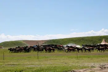 昭蘇濕地公園,天馬浴河,圖三