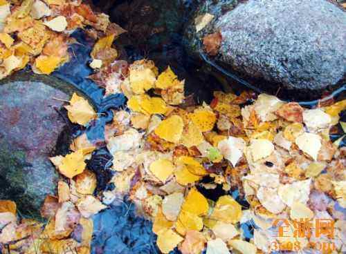 哈纳斯湖秋光,图十六