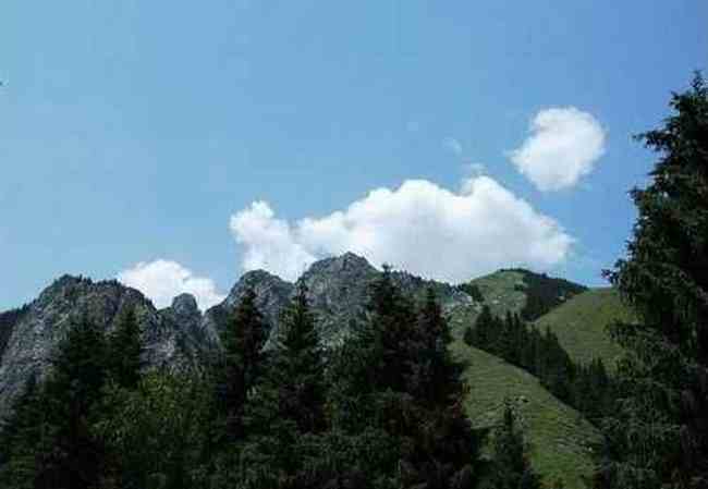 新疆 - 南山牧场,图一