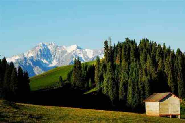 新疆昌吉索尔巴斯陶风光,图五