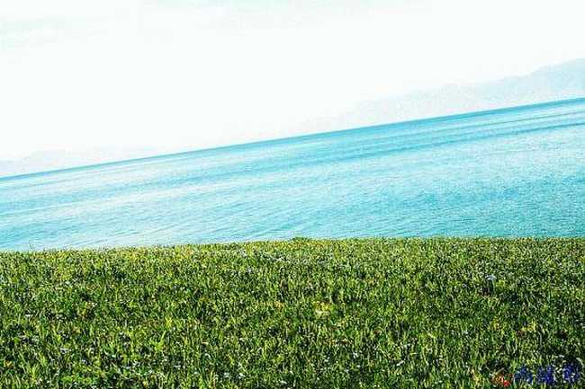 端午节赛里木湖美景,图五