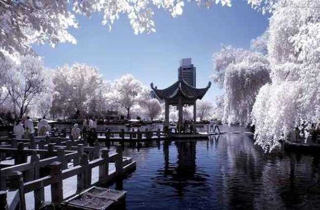 美丽的乌鲁木齐,图五