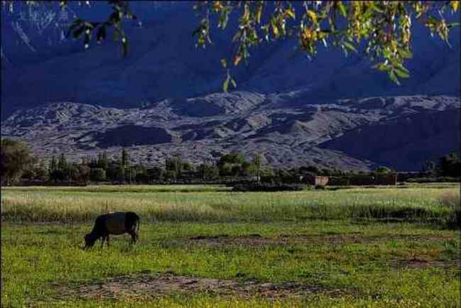 帕米尔高原,图三