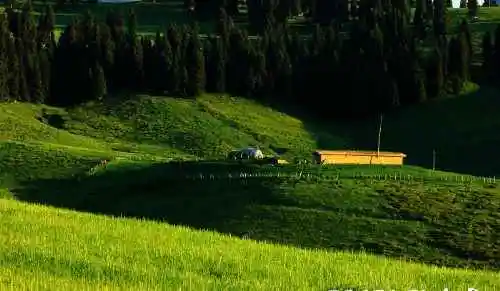 新疆布拉克风光