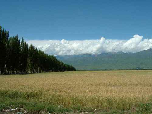 阿尔泰山,图七