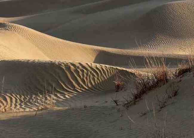 踏上塔克拉玛干大沙漠,图五
