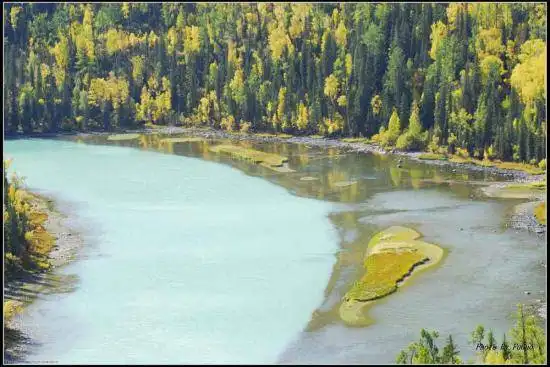 喀纳斯风光组图