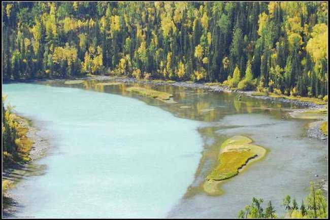 喀纳斯风光组图,图十七