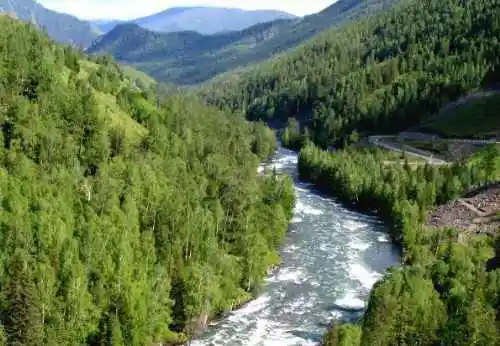 新疆喀纳斯风光