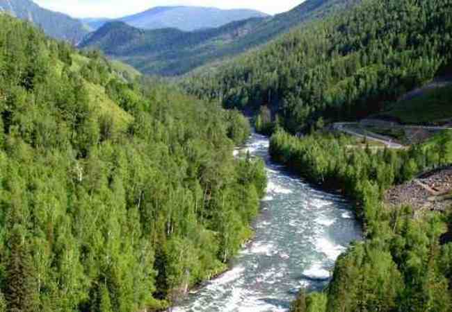 新疆喀纳斯风光,图四