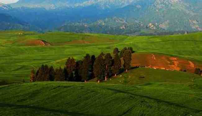 新疆布拉克风光,图十四