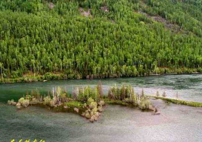 新疆喀纳斯风光,图十一