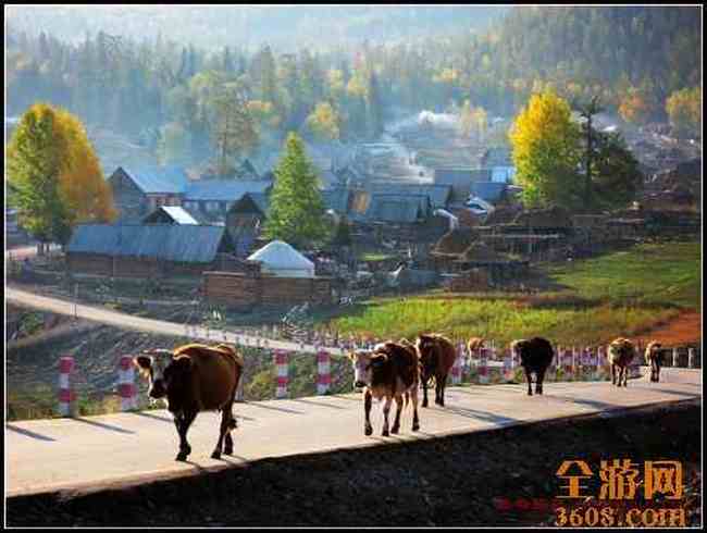 新疆白哈巴村,图一