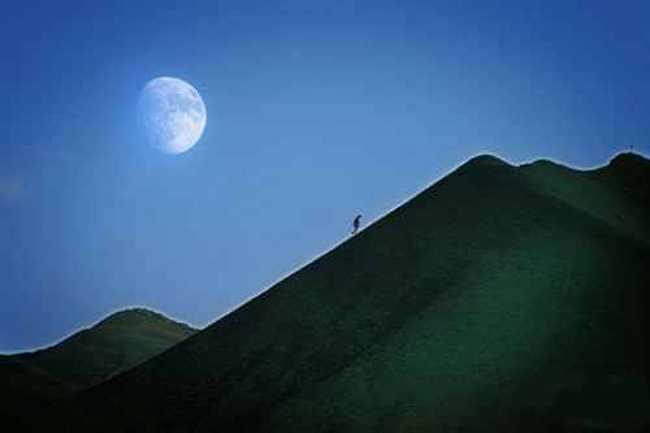 新疆巴音布鲁克草原,图七