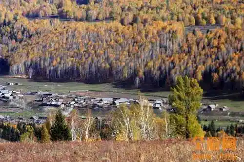 世外桃源白哈巴