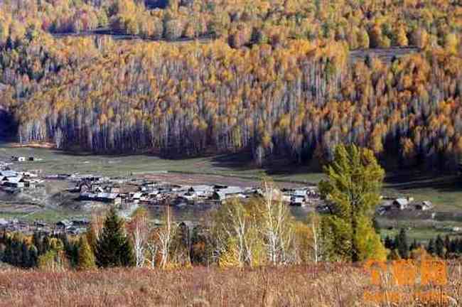 世外桃源白哈巴,图十二