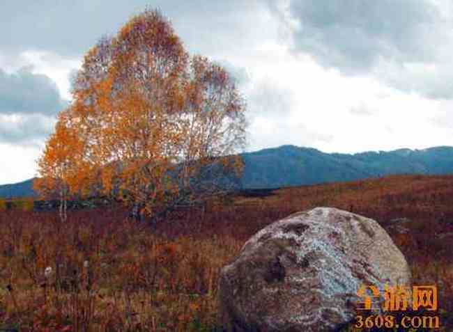 哈纳斯湖秋光,图十二