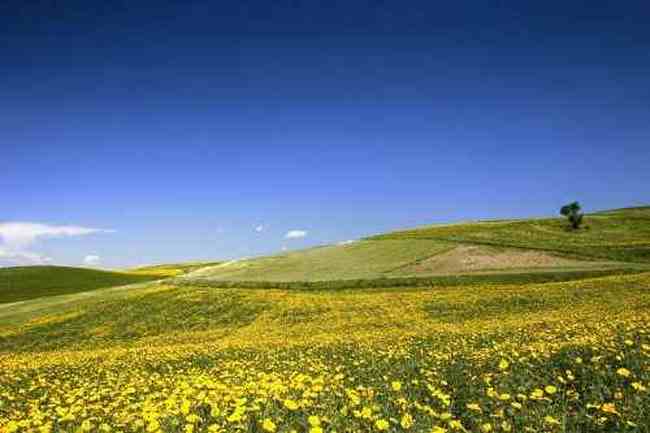 新疆江布拉克,图一