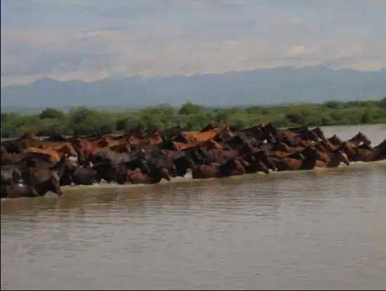 新疆天马之乡伊犁昭苏(组图)